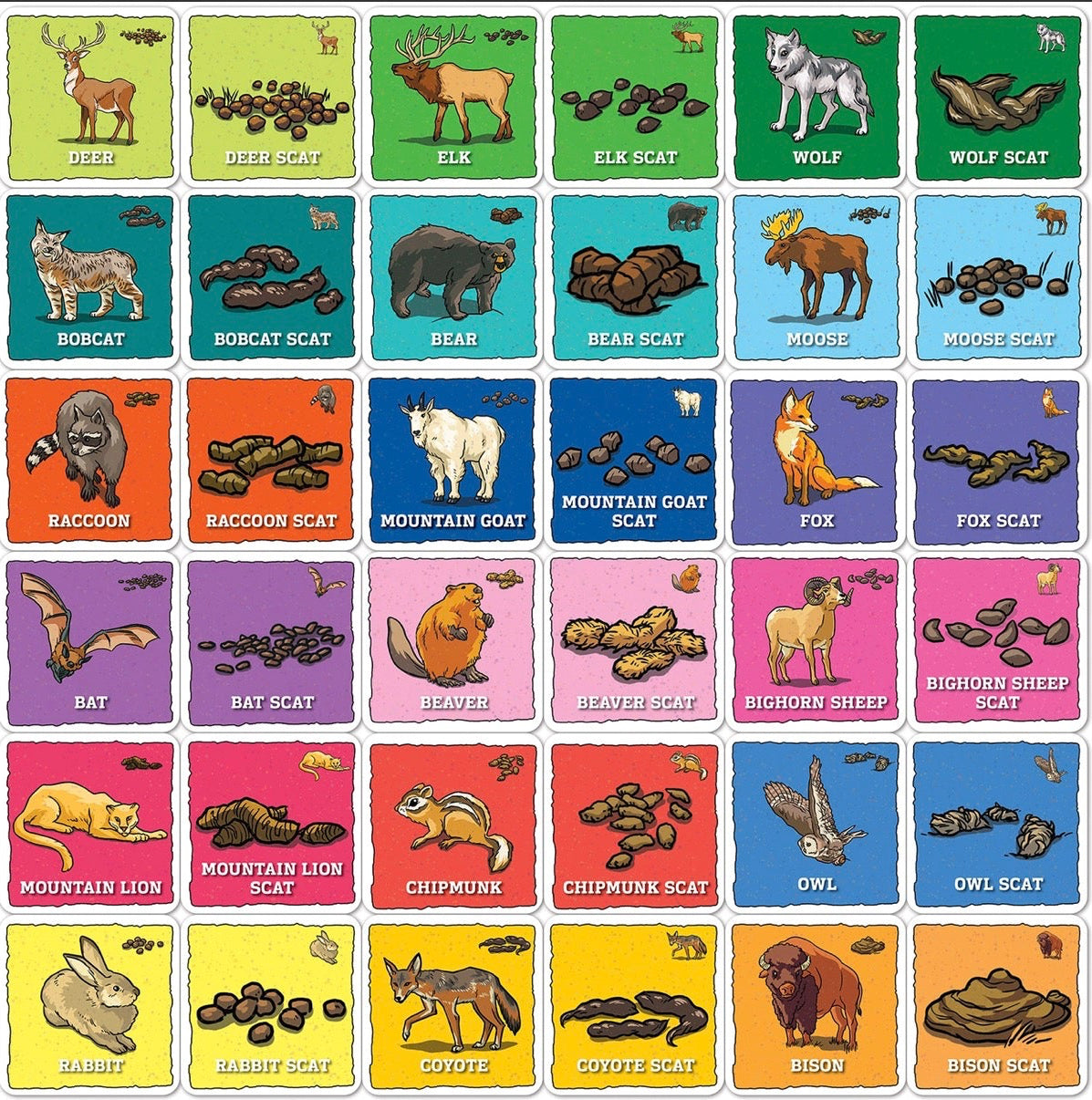 Animal Poop Matching