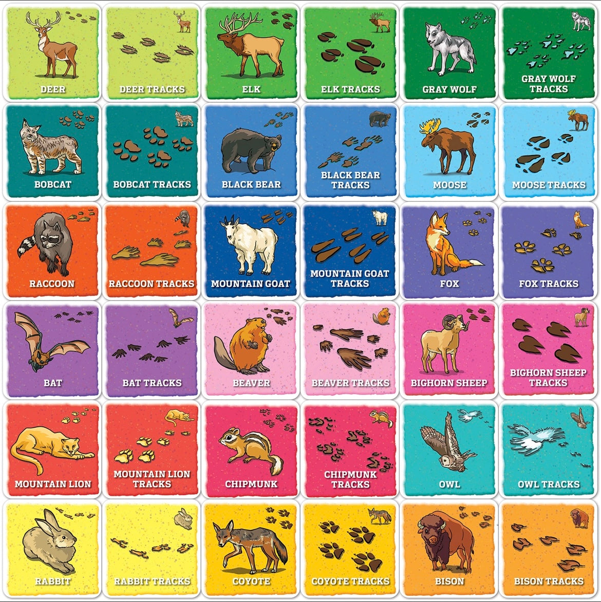 Animal Tracks Matching Game